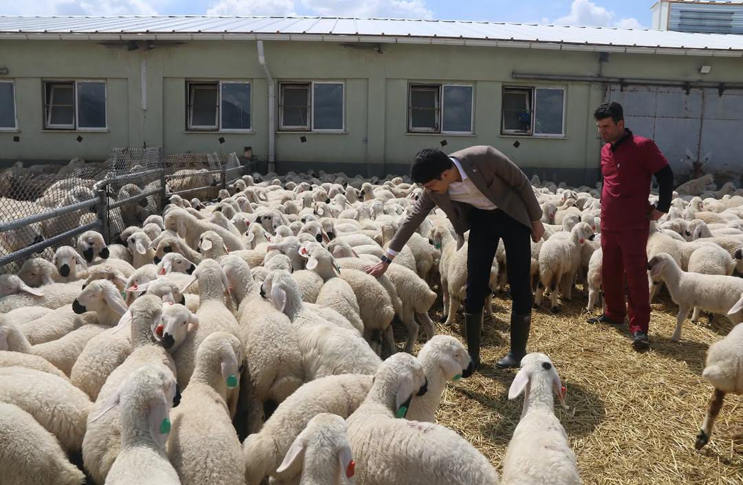 Kaymakamımız Sn. Esad Mücahit ESKİMEZ, Ulaş Tarım İşletmesi Müdürlüğünü Ziyarette Bulundu